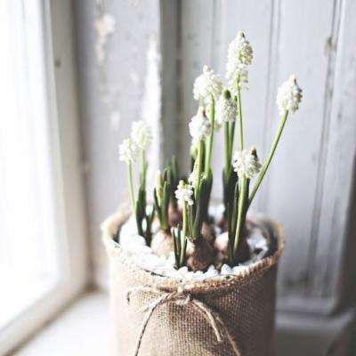 Kaiyun(云开)体育App