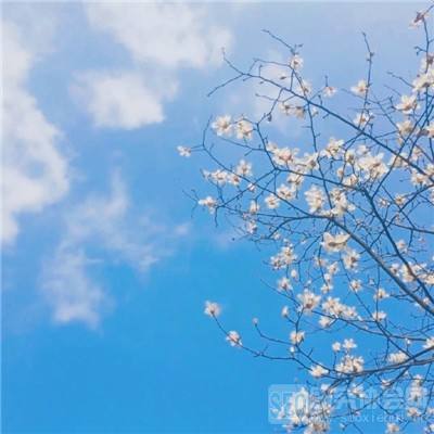 正规的大小单双平台网址