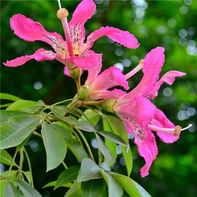 凯时AG登录入口