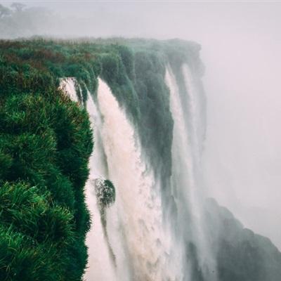 利发app手机登陆