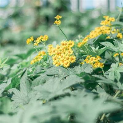 xk星空网官网登录入口