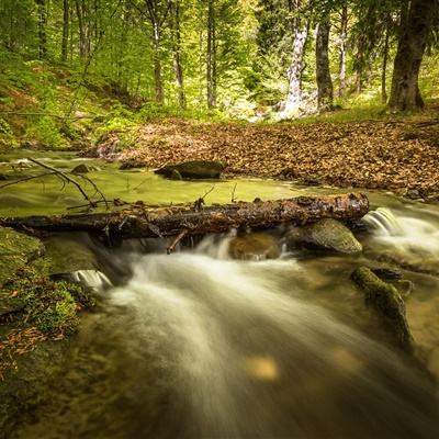 爱游戏ayx手机版登录入口