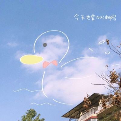 kok在线登陆官网