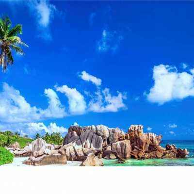 乐鱼官网手机版app下载